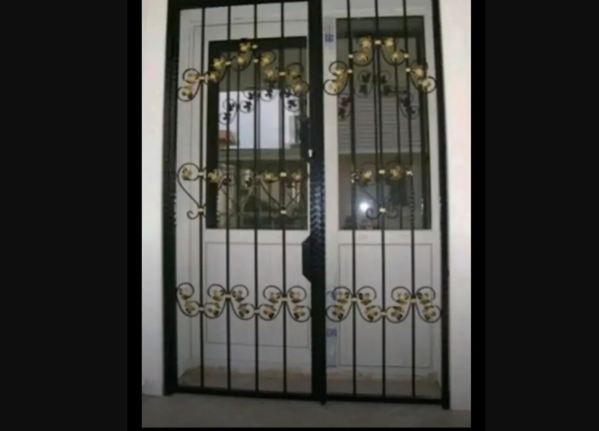 Demir kapı koruma kafes demir kapı